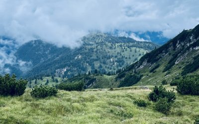 Dein Ultimativer Off-Season Guide: Fit für die nächste Saison